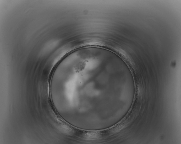 X0000089961274200707061133