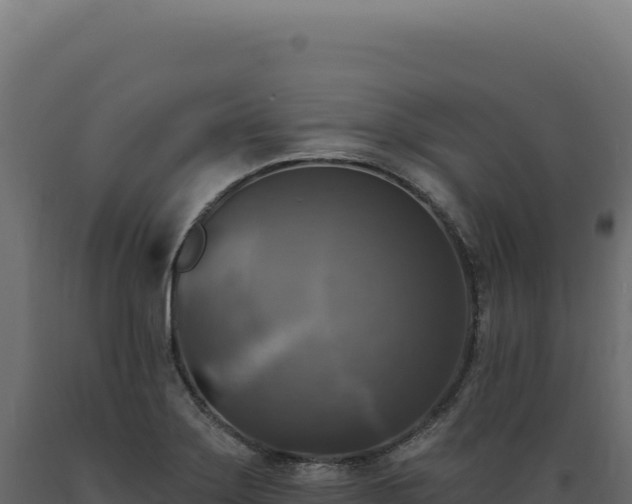 X0000089961275200707061133