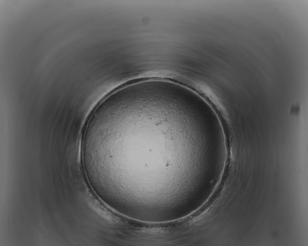 X0000089961276200707061133
