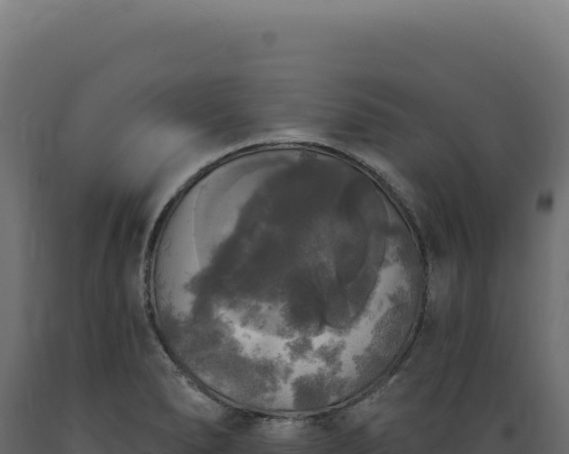 X0000089961278200707061133