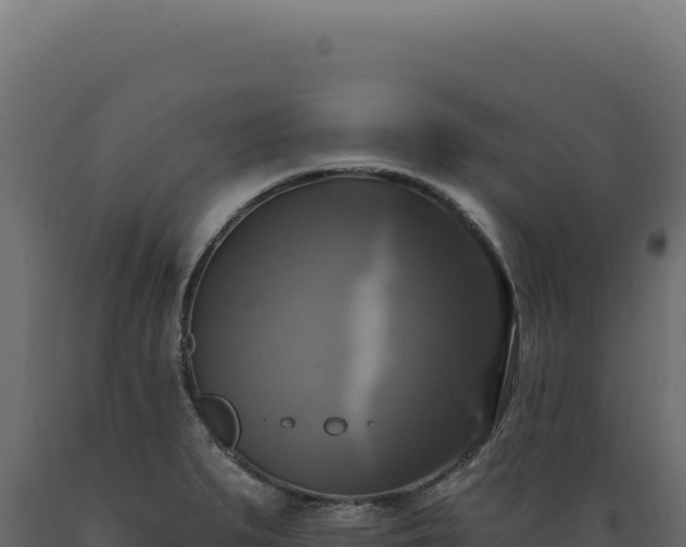 X0000089961279200707061133
