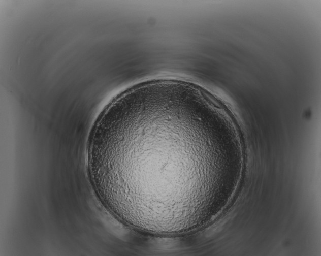 X0000089961280200707061133