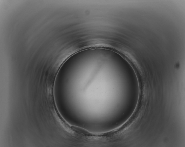 X0000089961281200707061133