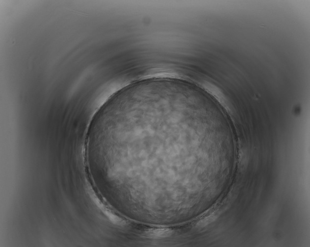 X0000089961282200707061133