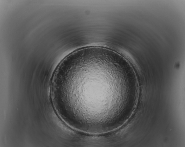 X0000089961284200707061133