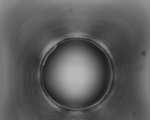 X0000089961285200707061133
