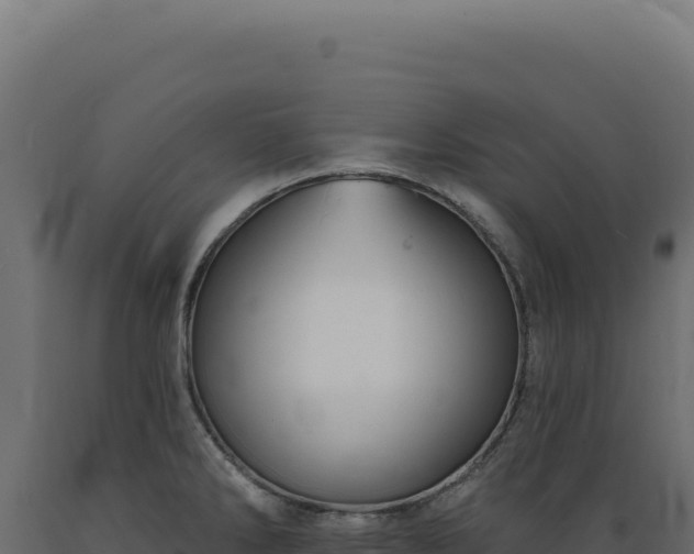 X0000089961286200707061133