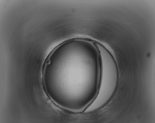 X0000089961287200707061133