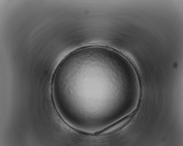 X0000089961288200707061133