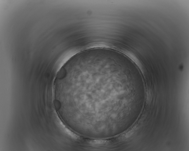 X0000089961290200707061133