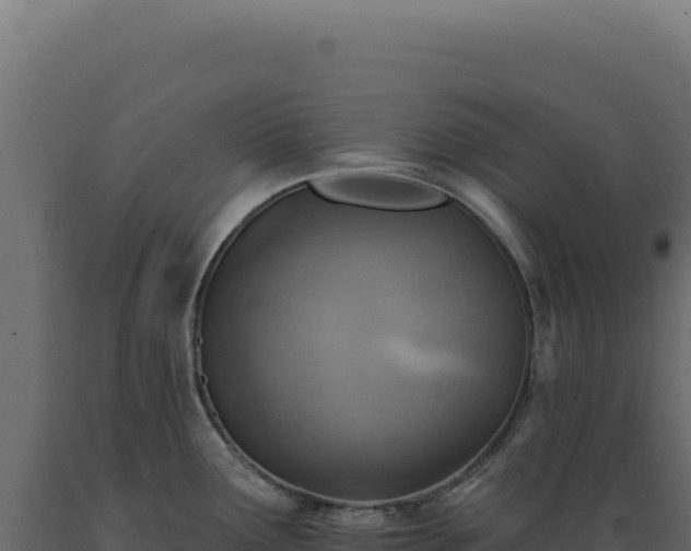 X0000089961291200707061133