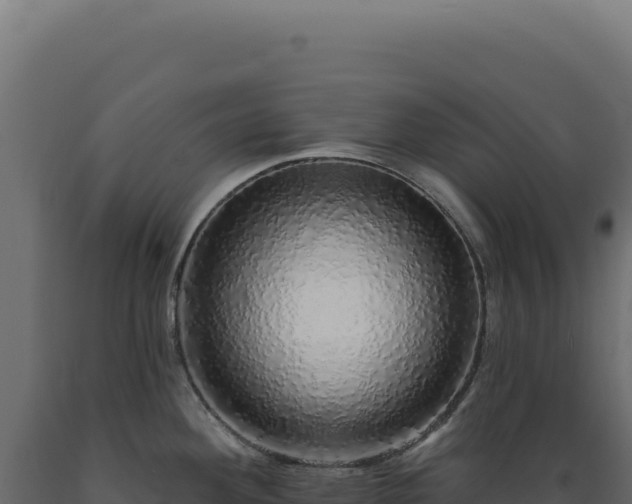 X0000089961292200707061133