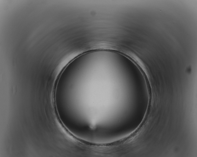 X0000089961293200707061133