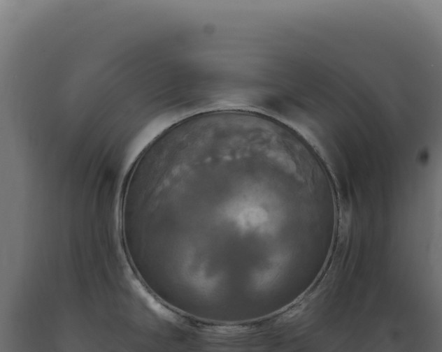 X0000089961294200707061132