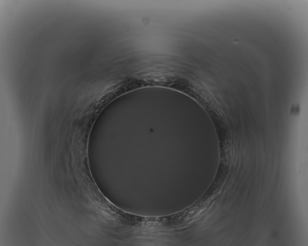 X0000089961297200707061132