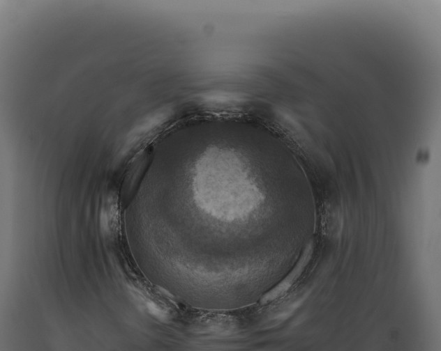 X0000089961298200707061132