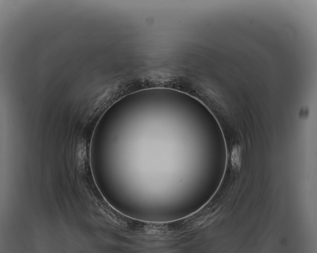 X0000089961299200707061132