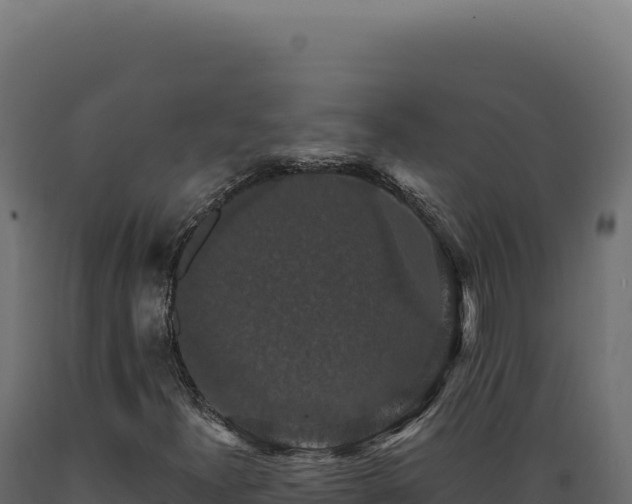 X0000089961300200707061132