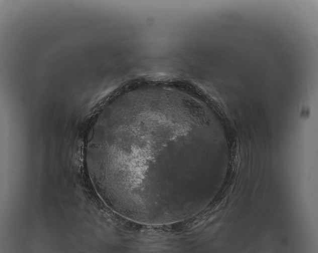 X0000089961301200707061132