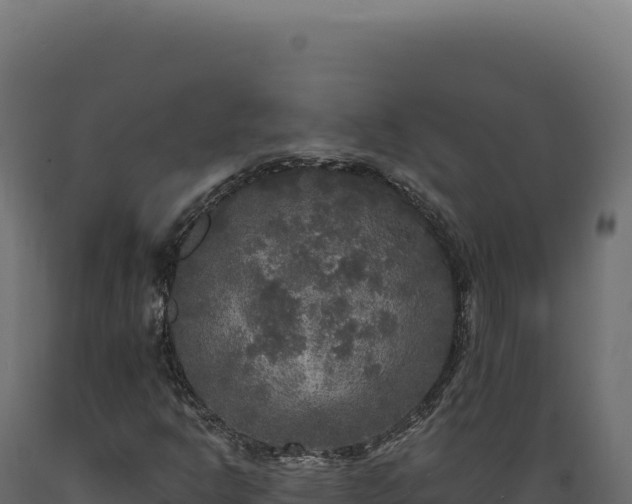 X0000089961302200707061132