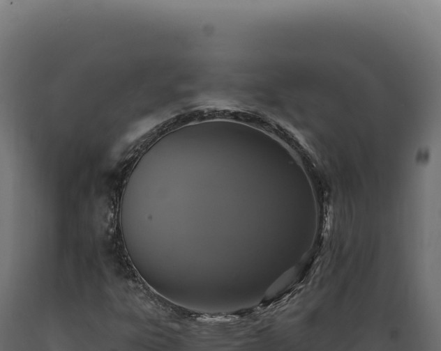 X0000089961303200707061132