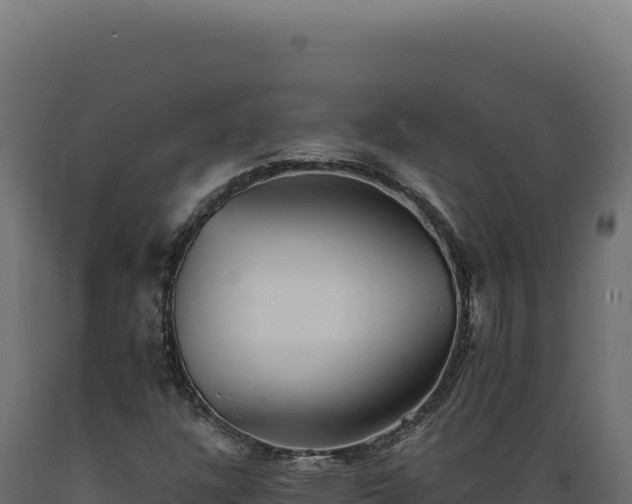 X0000089961304200707061132