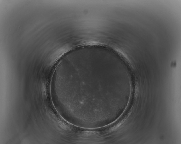 X0000089961305200707061132