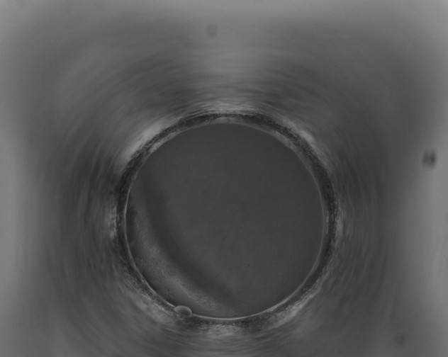 X0000089961306200707061132