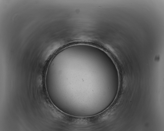 X0000089961307200707061132