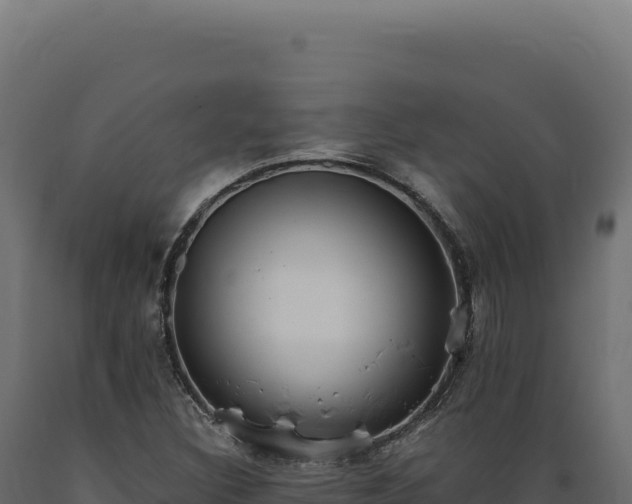 X0000089961308200707061132
