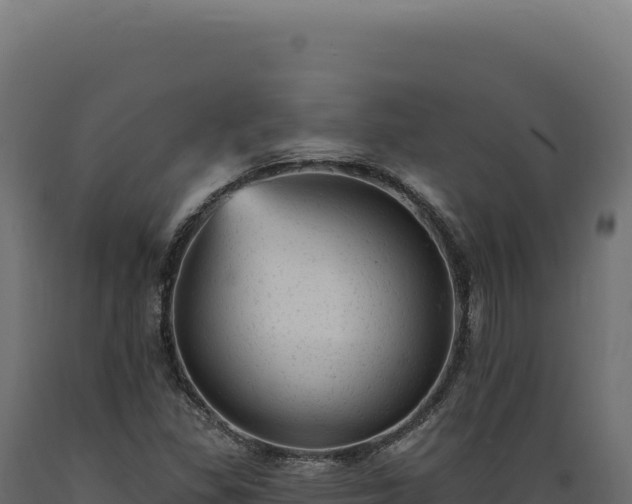 X0000089961309200707061132