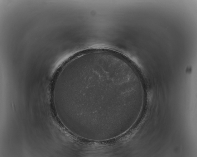 X0000089961311200707061132