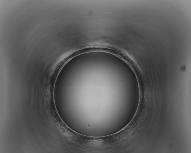 X0000089961315200707061132
