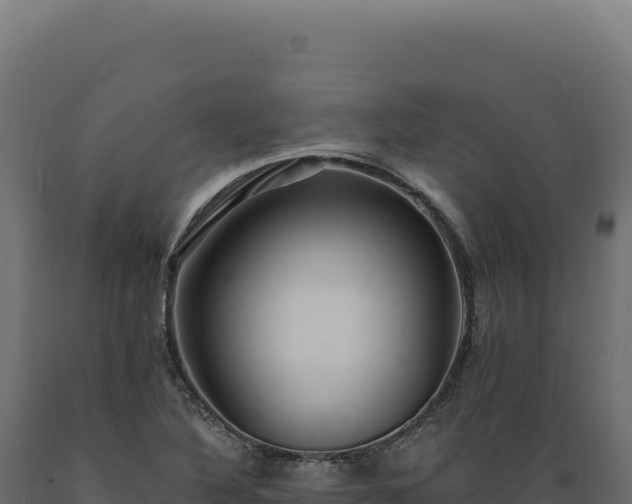 X0000089961316200707061132