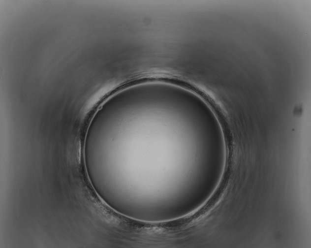 X0000089961317200707061132