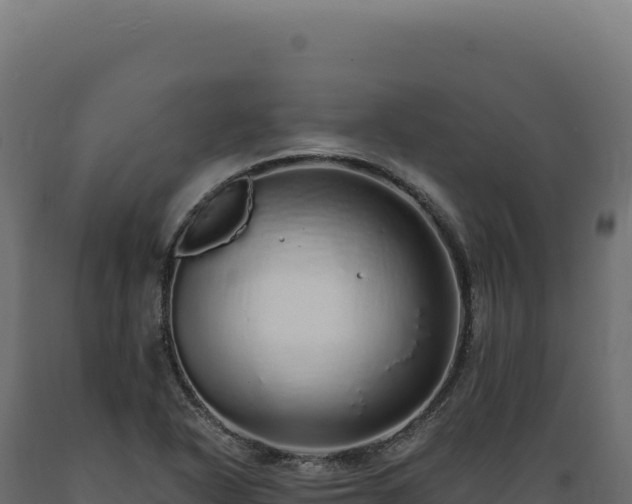 X0000089961318200707061132
