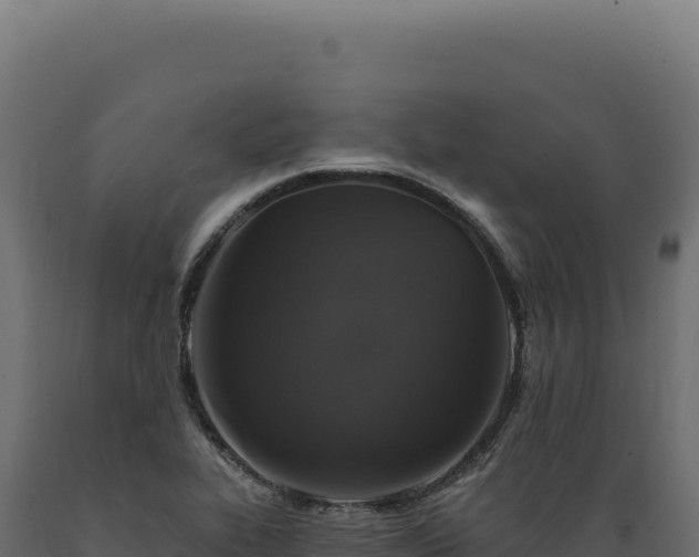 X0000089961319200707061132