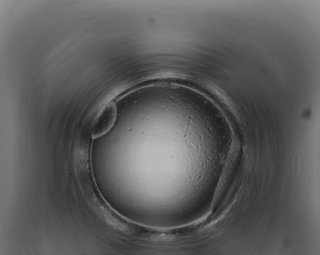 X0000089961321200707061132