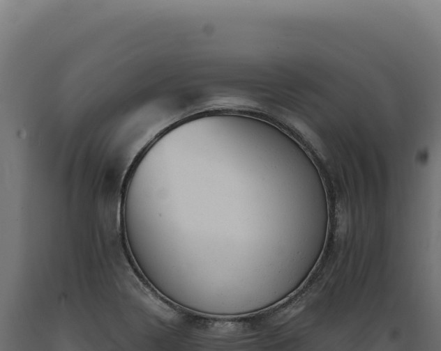 X0000089961322200707061132