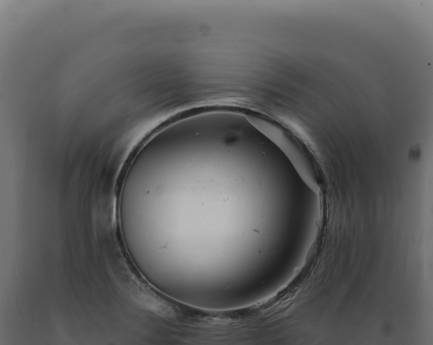 X0000089961324200707061132