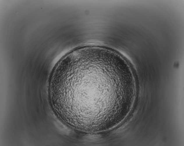 X0000089961325200707061132