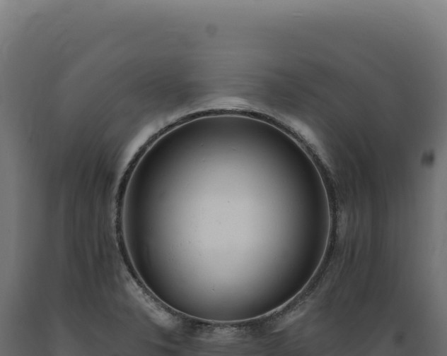 X0000089961326200707061132