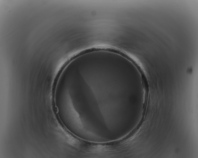 X0000089961327200707061132