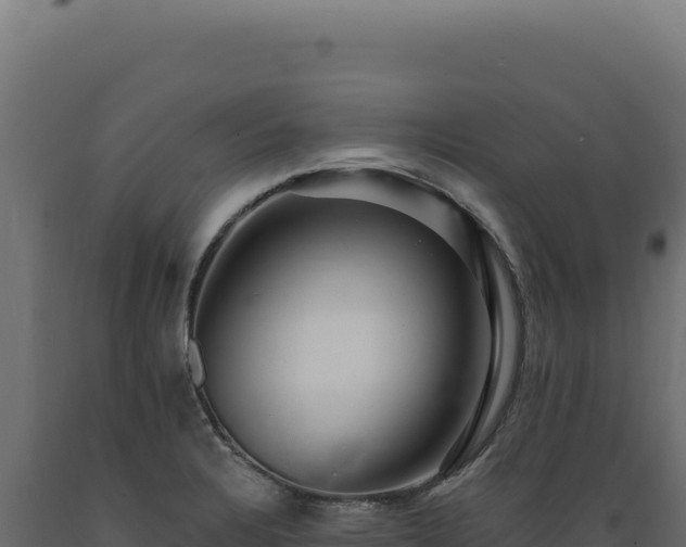 X0000089961328200707061132
