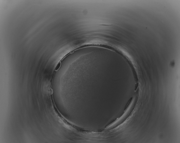 X0000089961329200707061132