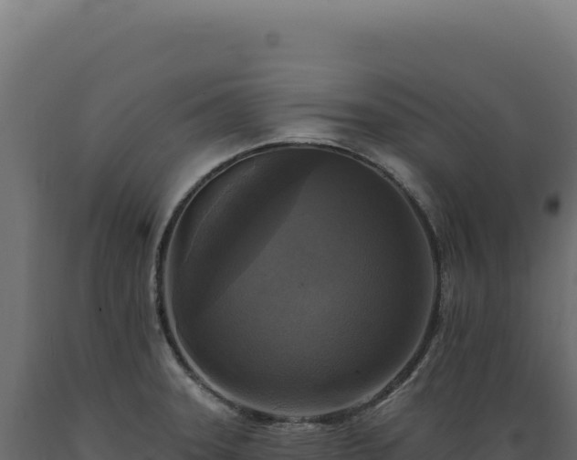 X0000089961331200707061132