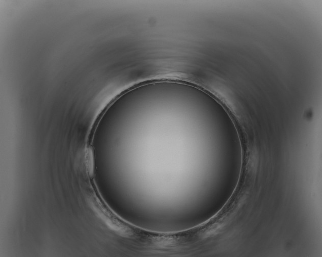 X0000089961332200707061132
