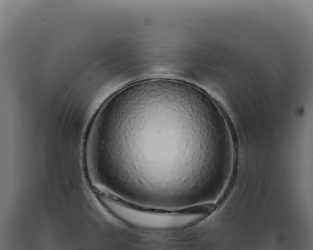 X0000089961333200707061132