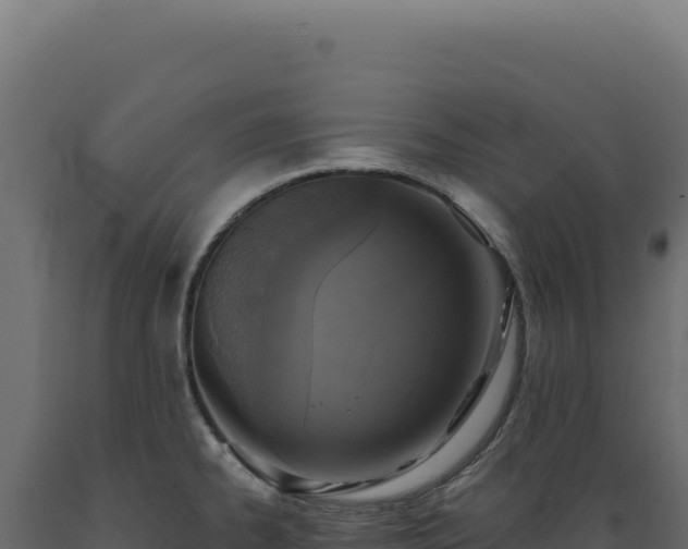 X0000089961334200707061132