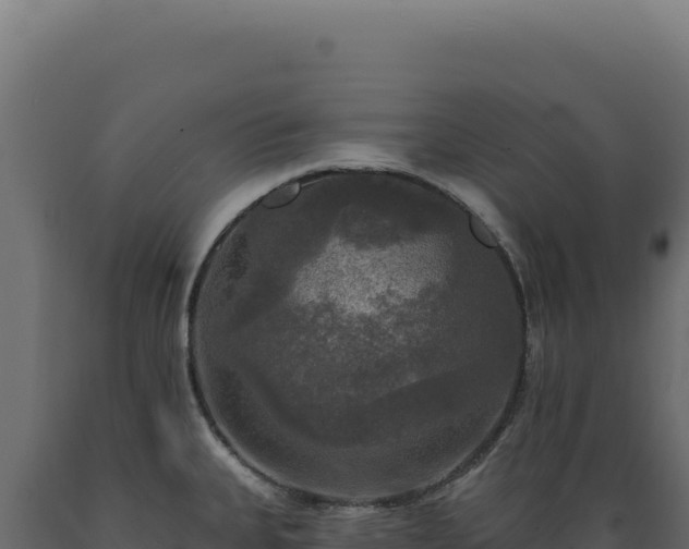 X0000089961335200707061132